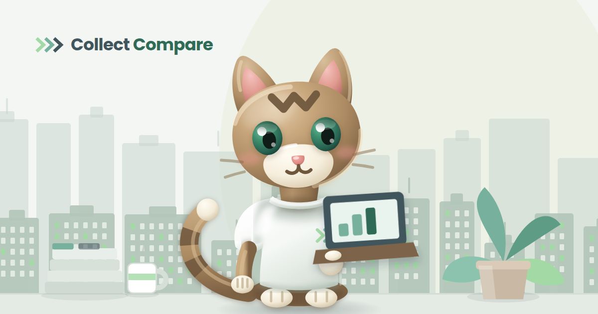 Tally the Tabby, the Collect Compare mascot, comparing agencies on a laptop in an office with a city skyline behind her