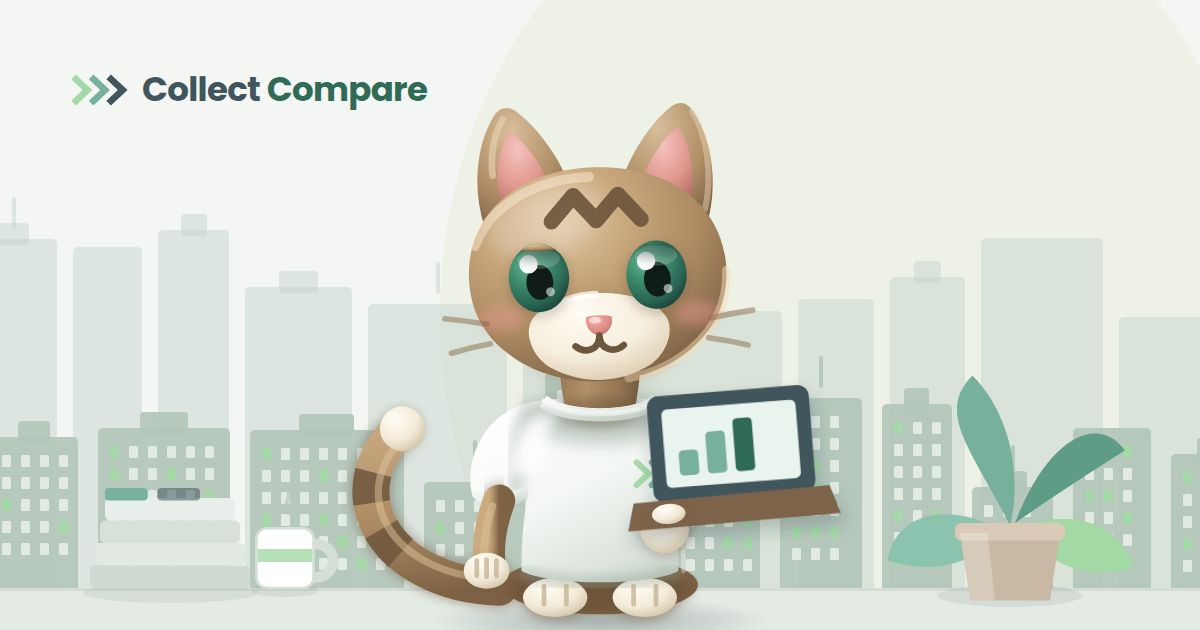 Tally the Tabby, the Collect Compare mascot, comparing agencies on a laptop in an office with a city skyline behind her