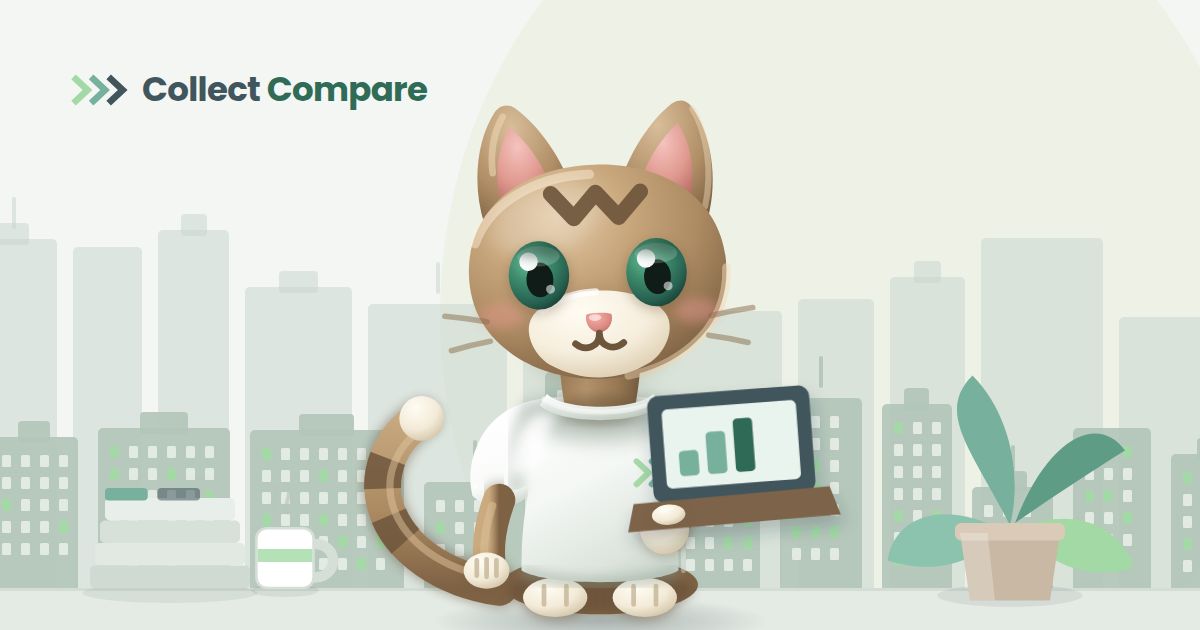 Tally the Tabby, the Collect Compare mascot, comparing agencies on a laptop in an office with a city skyline behind her