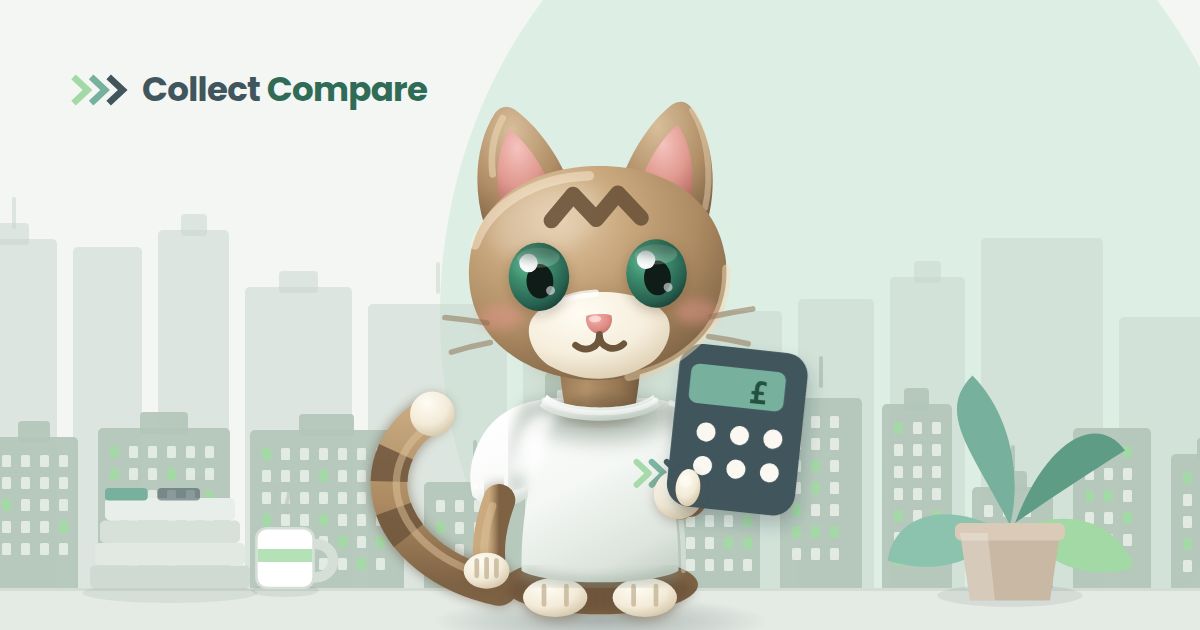 Tally the Tabby, the Collect Compare mascot, holding a calculator in an office with a city skyline behind her