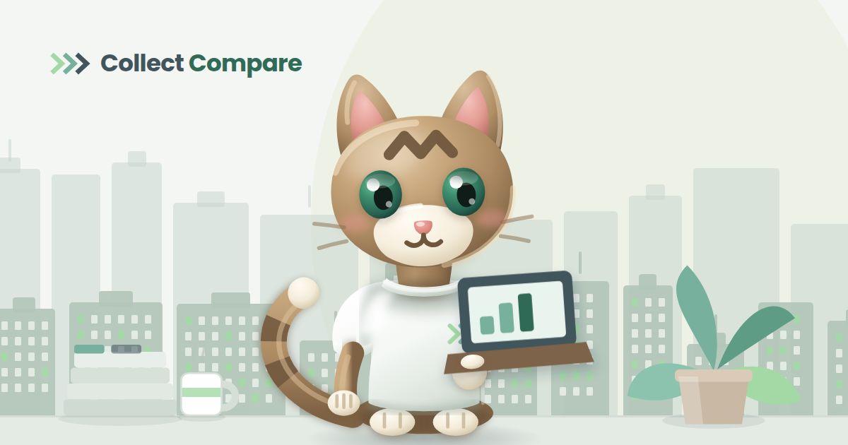 Tally the Tabby, the Collect Compare mascot, comparing agencies on a laptop in an office with a city skyline behind her