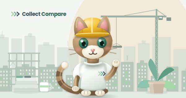 Tally the Tabby in a hard hat