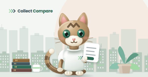 Tally the Tabby holding an unpaid invoice